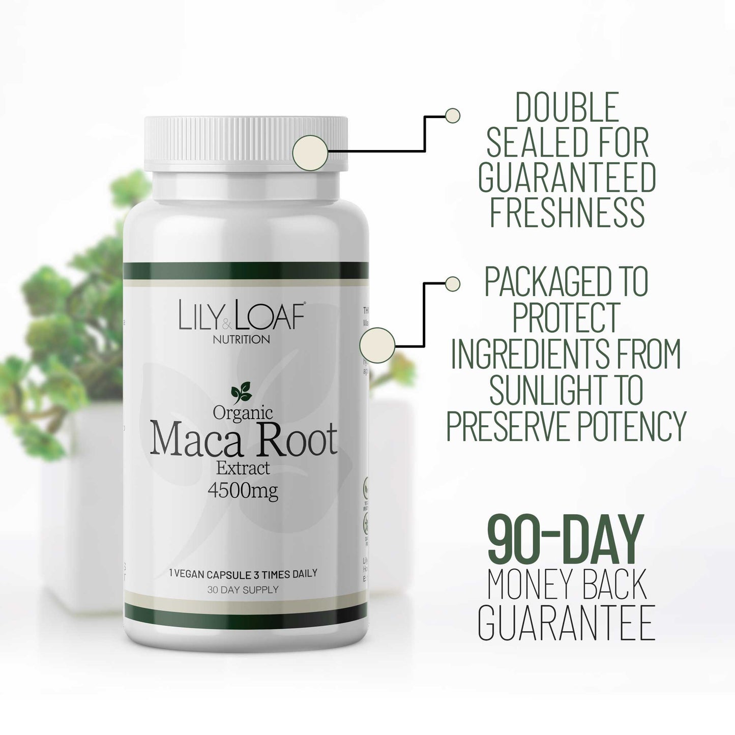 MACA Root Extract couple being playful