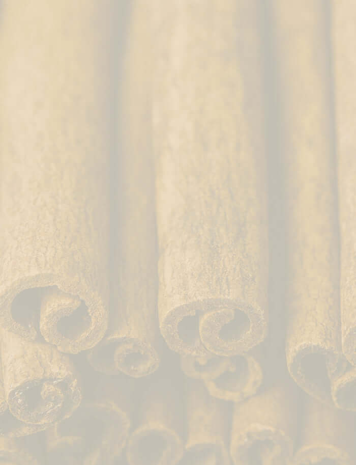 Rolled cinnamon sticks showcasing the rich brown tones and texture of this fragrant spice used in essential oils.