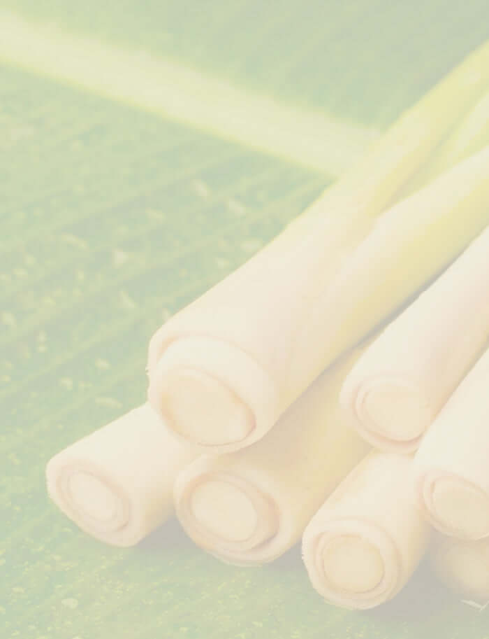 Close-up of citronella stalks on a leaf, banner for Citronella Essential Oil Guide.