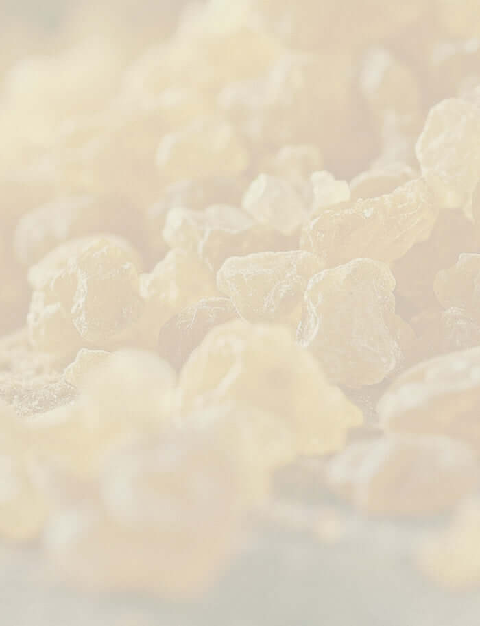 Close-up of Elemi resin pieces, highlighting their warm amber tones and crystalline texture for essential oil extraction.