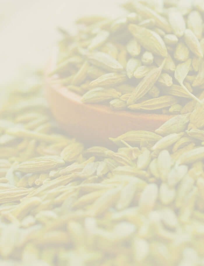 Close-up of aromatic fennel seeds in a wooden bowl, representing fennel essential oil.