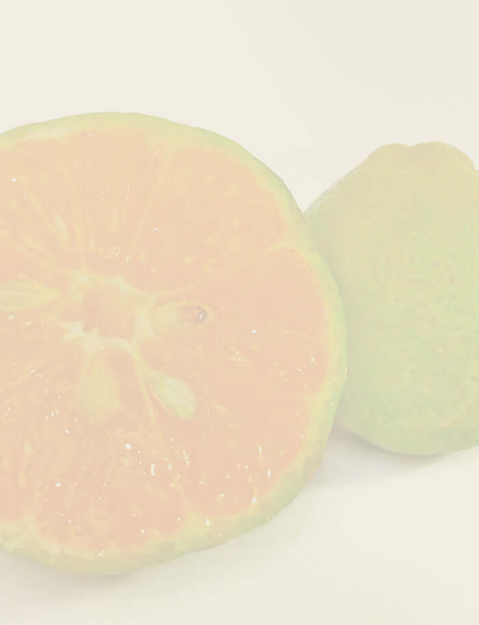 Close-up of a sliced green mandarin with a juicy orange interior, highlighting its fresh citrus texture.