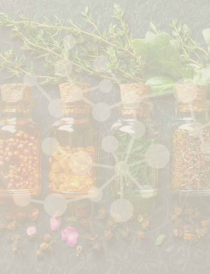 Small glass jars with cork lids containing various herbs and plants on a light gray background.