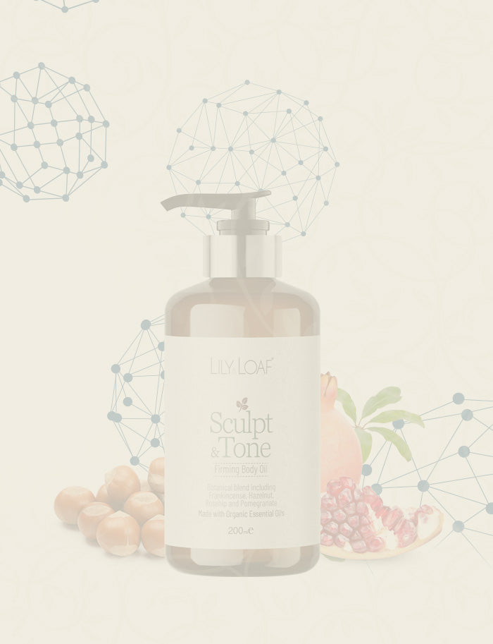 Lily & Loaf Sculpt & Tone on a light background with geometric designs and fruits.