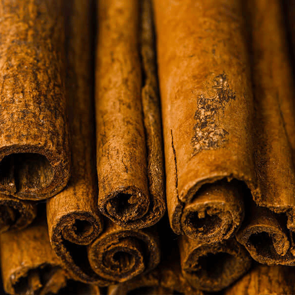 Rolled cinnamon sticks in a close-up view with warm tones