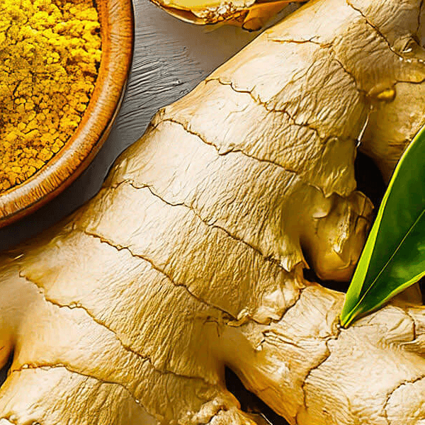 Fresh ginger root and ground ginger powder with green leaf