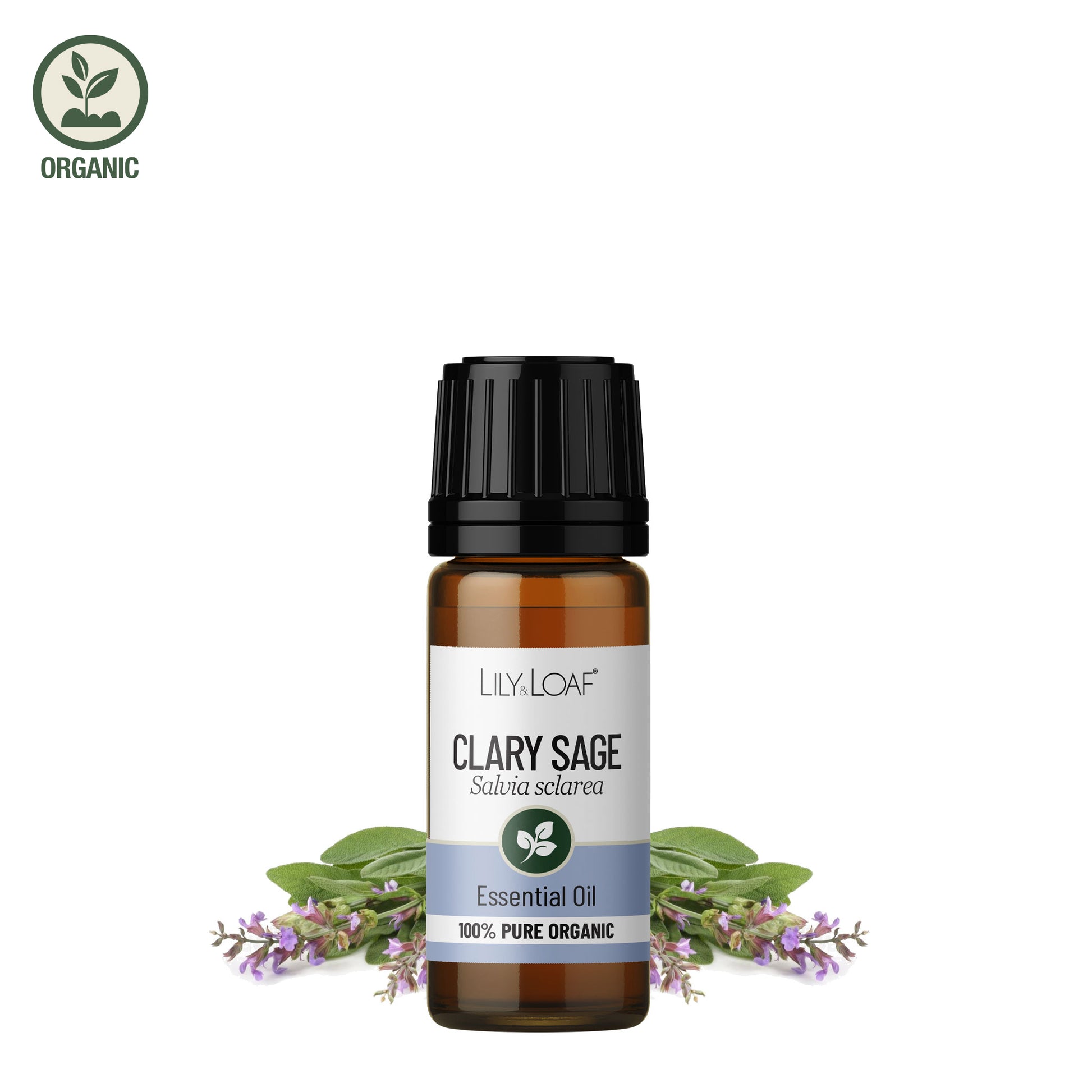 Clary Sage Organic Essential Oil with clary sage flowers in the background 