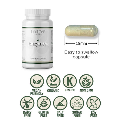 Enzymes +  vegan, gluten free sugar free non gmo