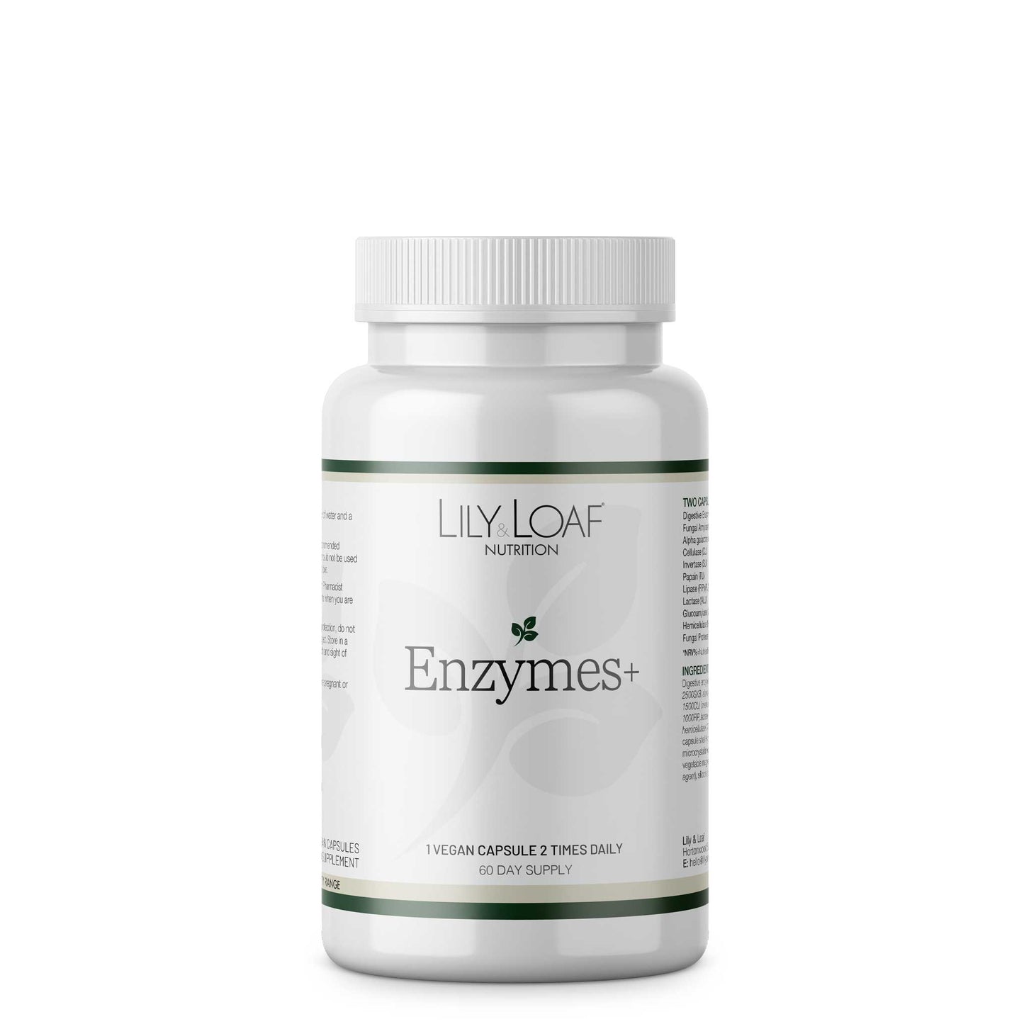 Enzymes + front