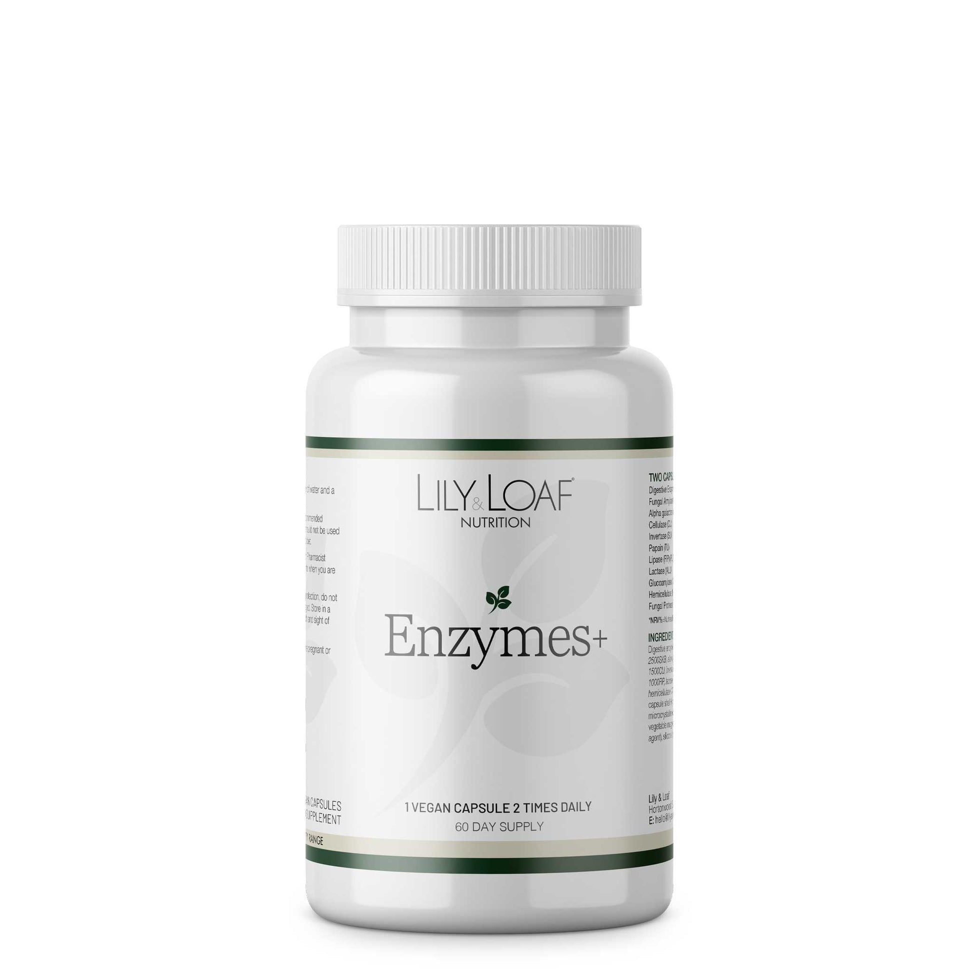 Enzymes + front