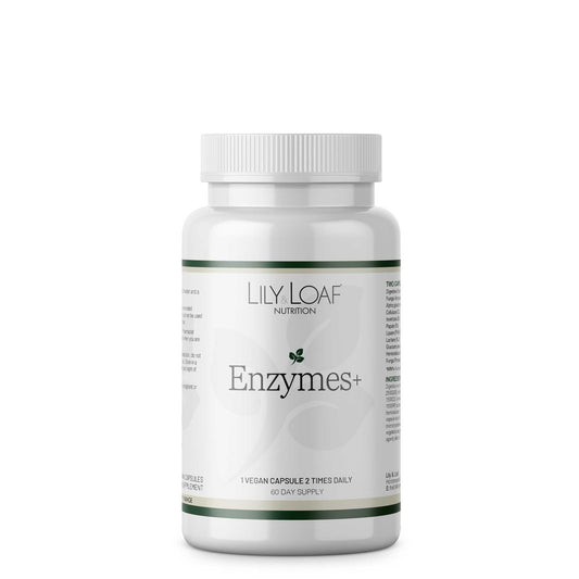 Enzymes + front