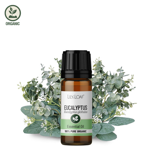 Eucalyptus Organic Essential Oil and ingredients