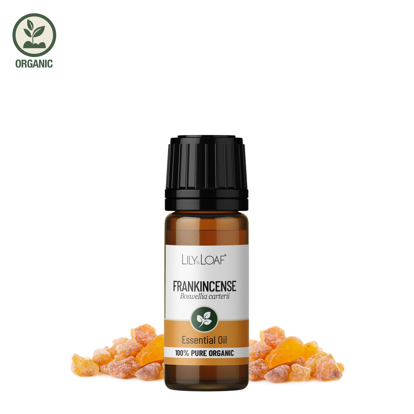Frankincense Organic Essential Oil with ingredient