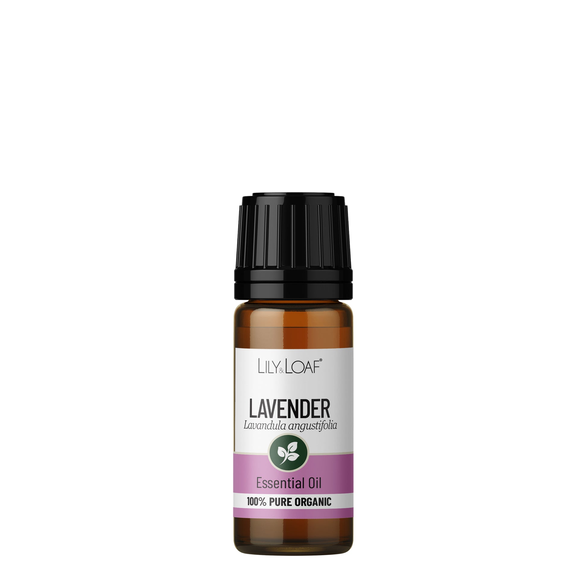 Lavender Essential Oil front
