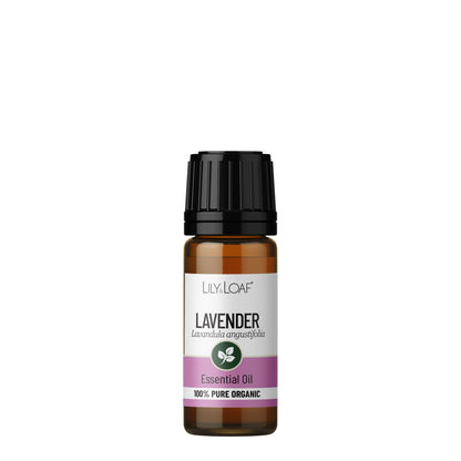 Lavender Essential Oil front