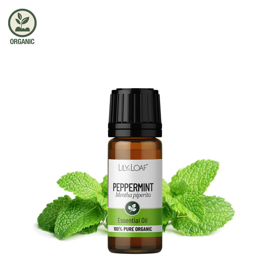 Peppermint essential oil with ingredient