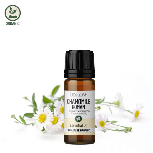 Roman Chamomile Organic with ingredients