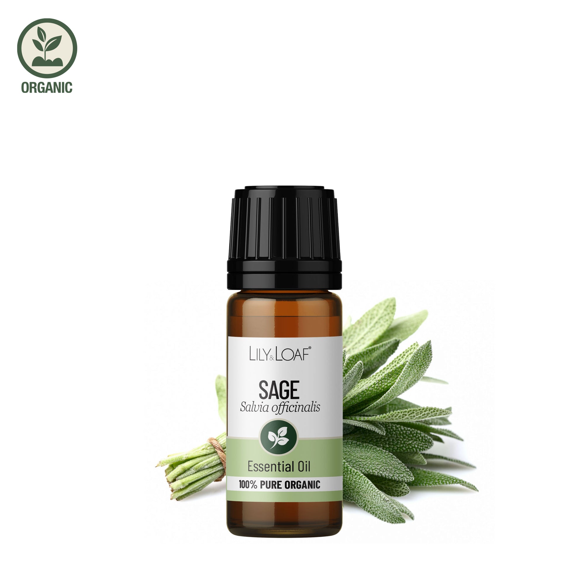 Sage Organic Essential Oil male receiving a massage