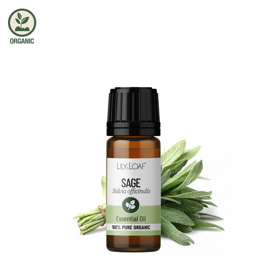 Sage Organic Essential Oil male receiving a massage