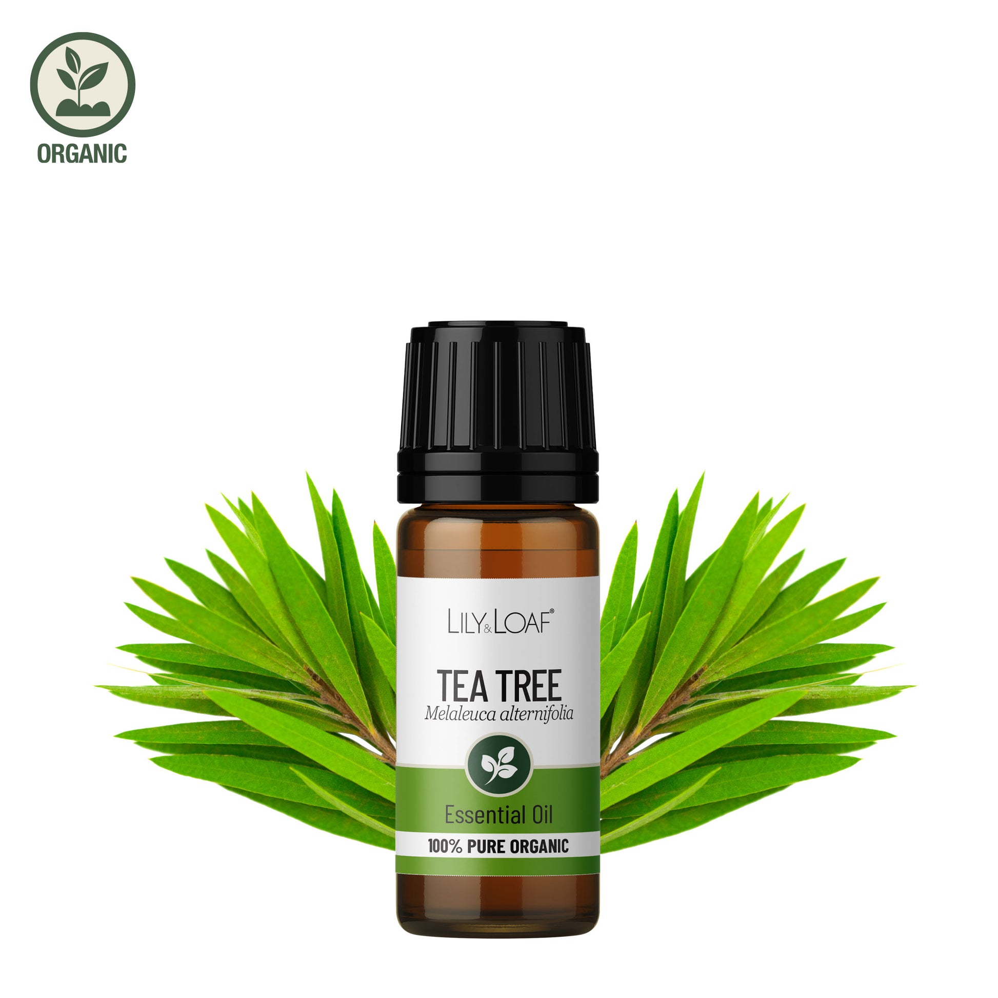 Tea Tree Organic Essential Oil  ingredients