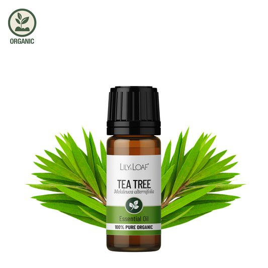 Tea Tree Organic Essential Oil  ingredients
