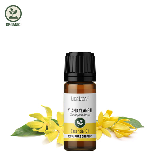 Ylang Ylang III organic essential oil with ylang ylang flowers